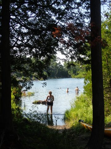 Photo from Beginner Kayaking trip To Franklin Island