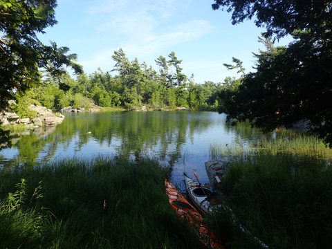Photo from Beginner Kayaking trip To Franklin Island