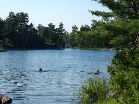 Photo from Beginner Kayaking trip To Franklin Island