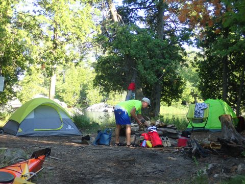 Photo from Beginner Kayaking trip To Franklin Island
