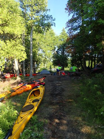 Photo from Beginner Kayaking trip To Franklin Island