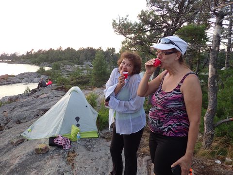 Photo from Beginner Kayaking trip To Franklin Island