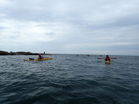 Photo from Beginner Kayaking trip To Franklin Island