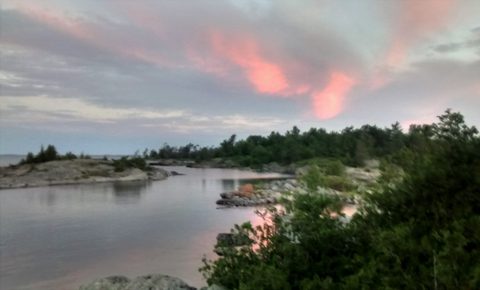 Photo from Beginner Kayaking trip To Franklin Island