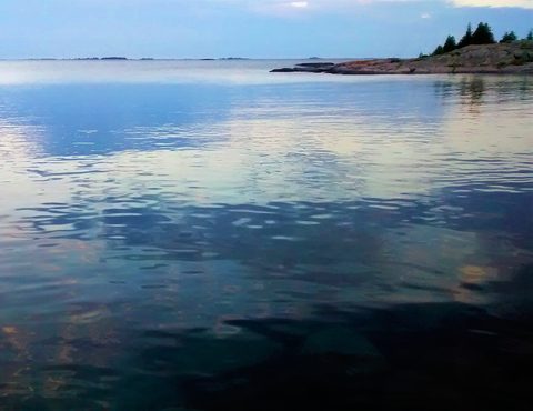 Photo from Beginner Kayaking trip To Franklin Island