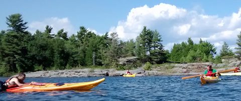 Photo from Beginner Kayaking trip To Franklin Island