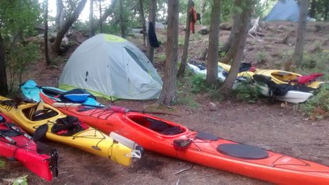 Photo from Beginner Kayaking trip To Franklin Island