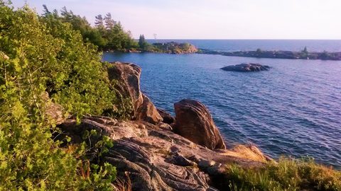 Photo from Beginner Kayaking trip To Franklin Island