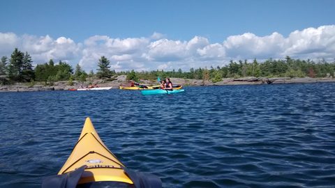 Photo from Beginner Kayaking trip To Franklin Island