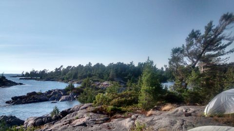Photo from Beginner Kayaking trip To Franklin Island