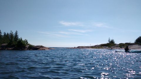 Photo from Beginner Kayaking trip To Franklin Island