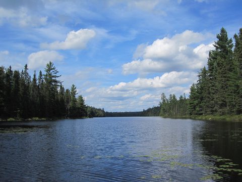 Photo from Backcountry Canoeing Algonquin Park