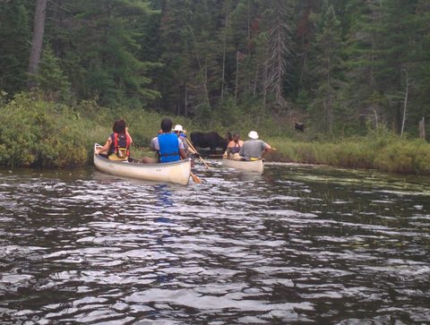 Photo from Backcountry Canoeing Algonquin Park