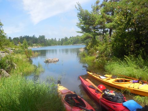 Photo from Kayak Skills on Franklin Island
