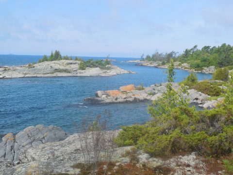 Photo from Kayak Skills on Franklin Island