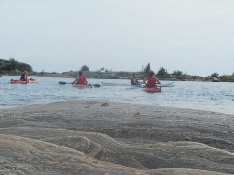 Photo from Kayak Skills on Franklin Island