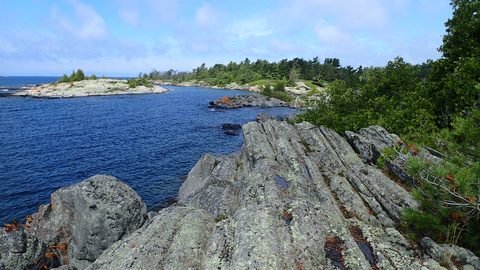 Photo from Kayak Skills on Franklin Island