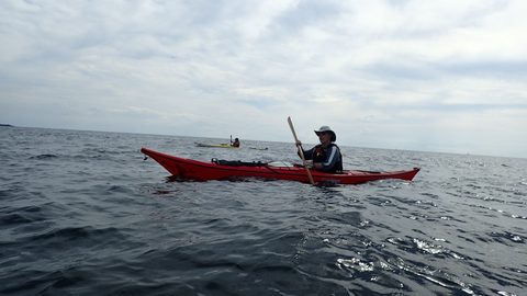 Photo from Kayak Skills on Franklin Island