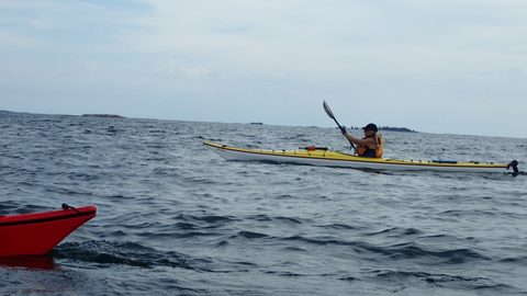Photo from Kayak Skills on Franklin Island
