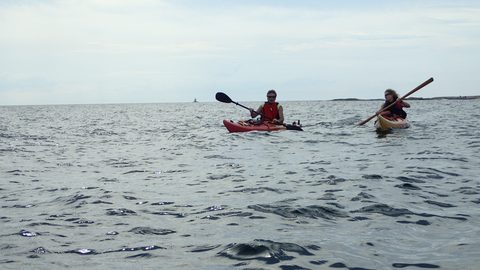 Photo from Kayak Skills on Franklin Island