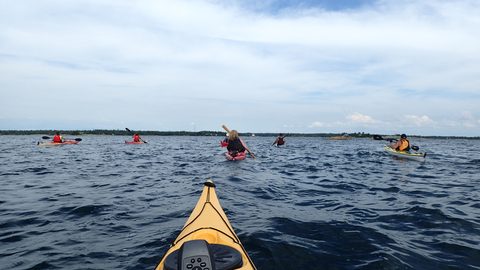 Photo from Kayak Skills on Franklin Island