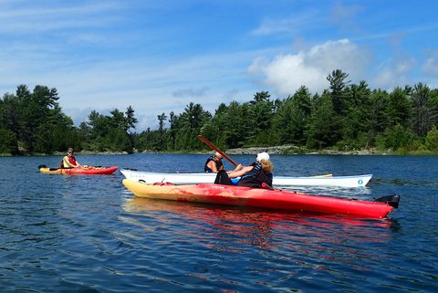 Photo from Kayak Skills on Franklin Island