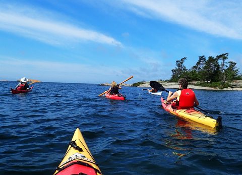 Photo from Kayak Skills on Franklin Island