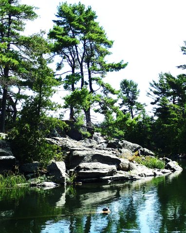 Photo from Kayak Skills on Franklin Island