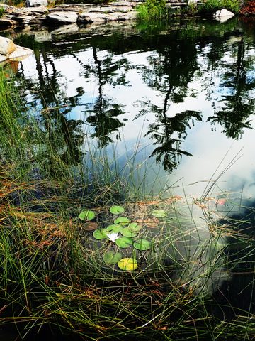 Photo from Kayak Skills on Franklin Island