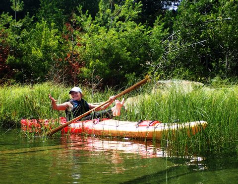 Photo from Kayak Skills on Franklin Island