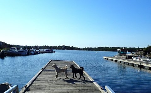 Photo from Kayaking to Big McCoy