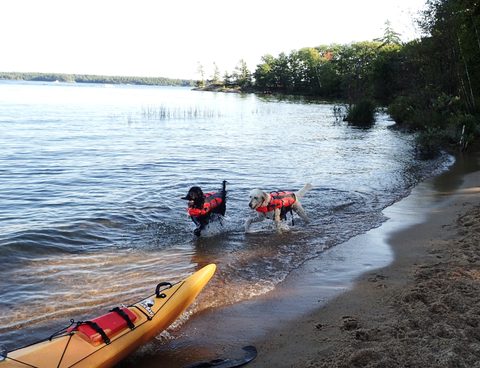 Photo from Kayaking to Big McCoy