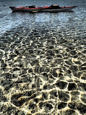 Photo from Kayaking to Big McCoy