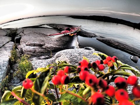 Photo from Kayaking to Big McCoy