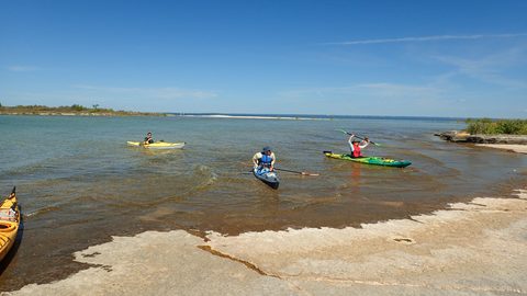 Photo from Kayaking to Big McCoy
