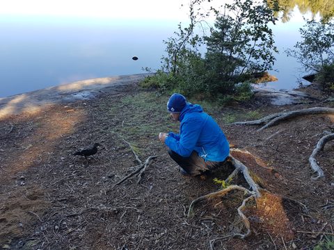 Photo from Algonquin Fall Colours Celebration