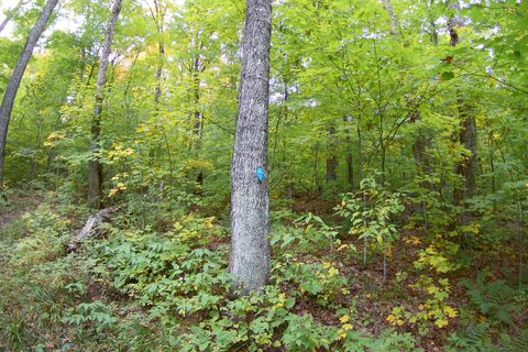 Photo from Introduction to backpacking - A first trip with Tim