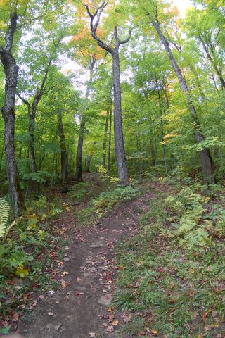 Photo from Introduction to backpacking - A first trip with Tim