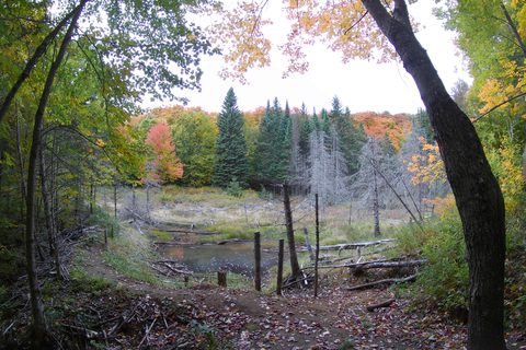 Photo from Introduction to backpacking - A first trip with Tim