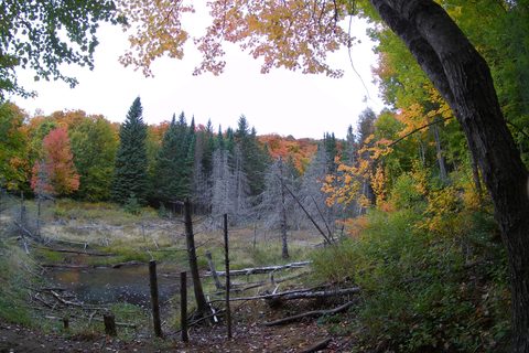 Photo from Introduction to backpacking - A first trip with Tim