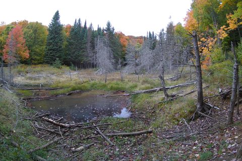 Photo from Introduction to backpacking - A first trip with Tim