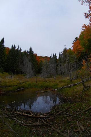 Photo from Introduction to backpacking - A first trip with Tim