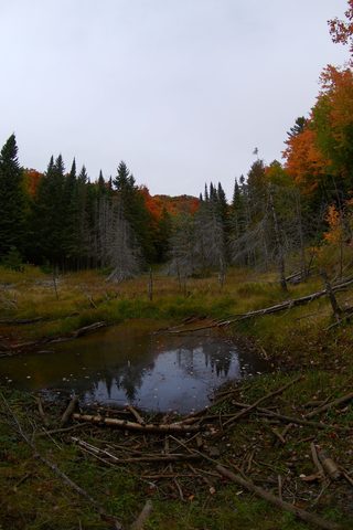 Photo from Introduction to backpacking - A first trip with Tim