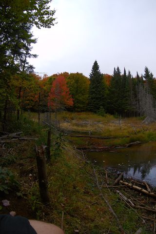Photo from Introduction to backpacking - A first trip with Tim