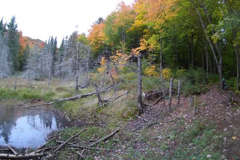 Photo from Introduction to backpacking - A first trip with Tim