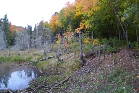 Photo from Introduction to backpacking - A first trip with Tim