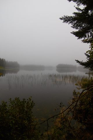 Photo from Introduction to backpacking - A first trip with Tim