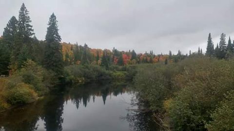 Photo from Introduction to backpacking - A first trip with Tim