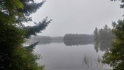 Photo from Introduction to backpacking - A first trip with Tim