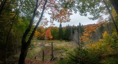 Photo from Introduction to backpacking - A first trip with Tim